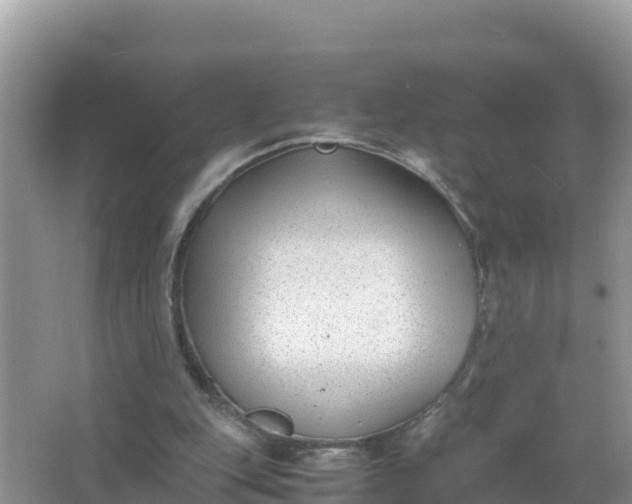 X0000066960151200604072013