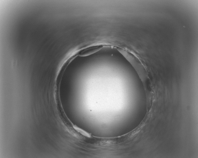 X0000066960152200604072013