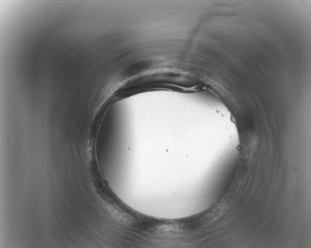 X0000066960160200604072013