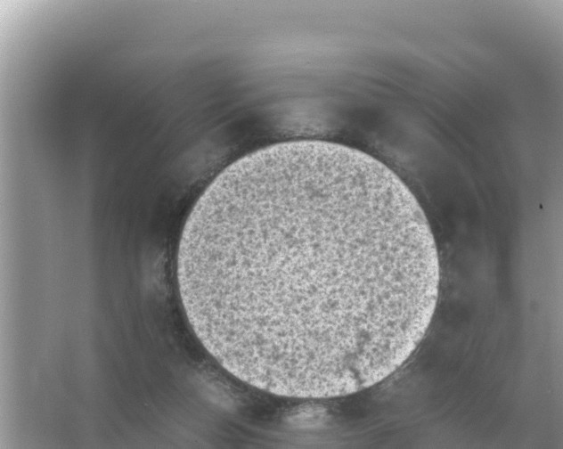 X0000066960162200604072013