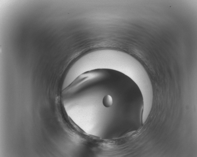 X0000066960164200604072013