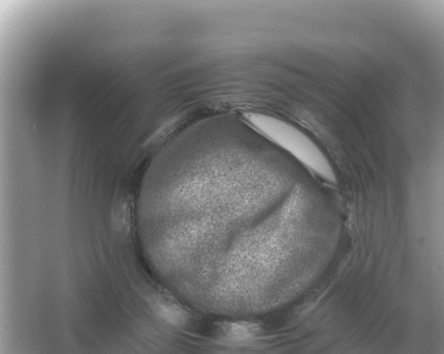 X0000066960165200604072013