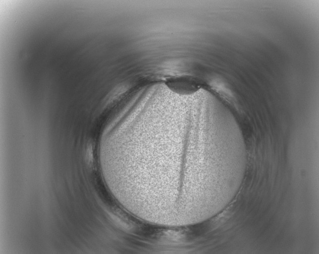 X0000066960166200604072013