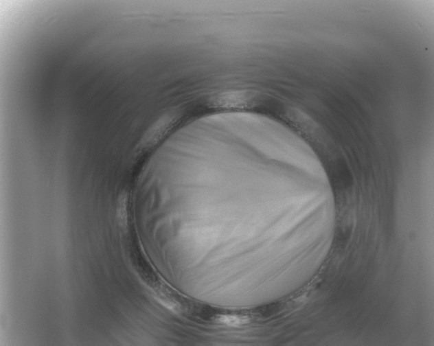 X0000066960167200604072013