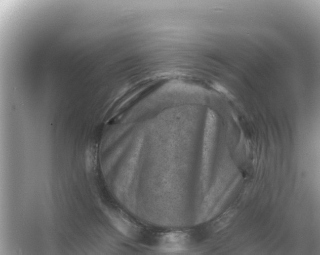 X0000066960168200604072013