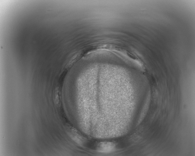 X0000066960169200604072013