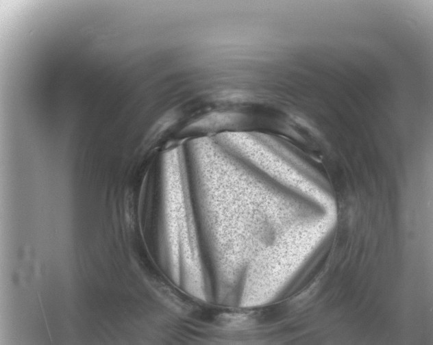 X0000066960170200604072014