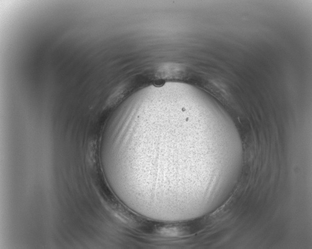 X0000066960171200604072014