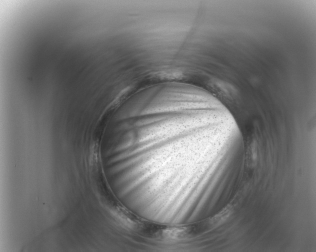 X0000066960172200604072014