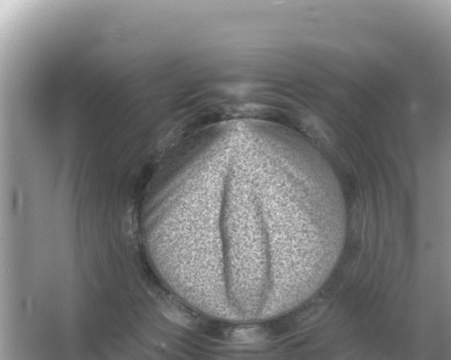 X0000066960173200604072014