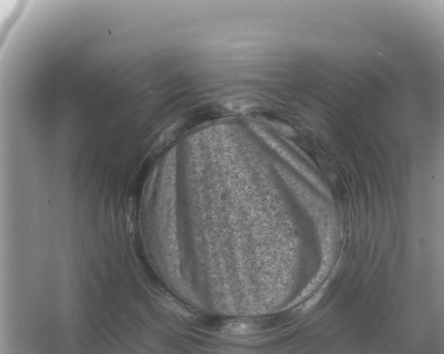 X0000066960174200604072014