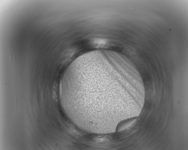 X0000066960175200604072014