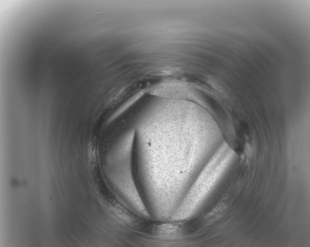 X0000066960176200604072014