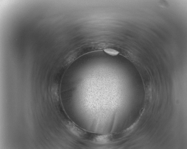 X0000066960178200604072014