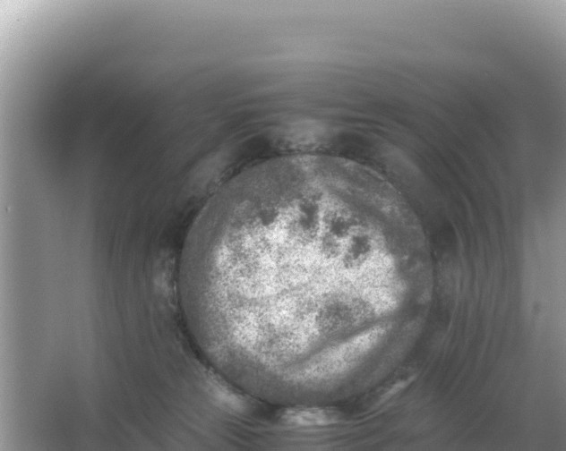 X0000066960181200604072014