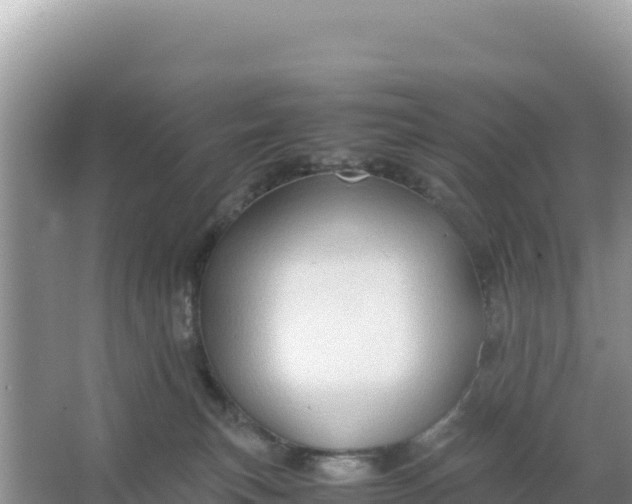 X0000066960183200604072014