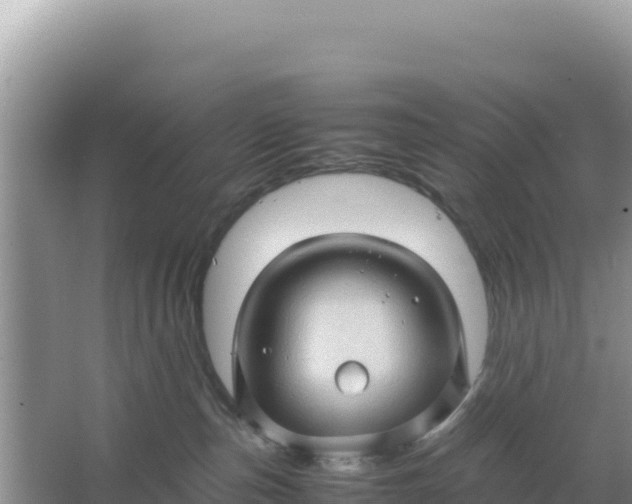 X0000066960187200604072014