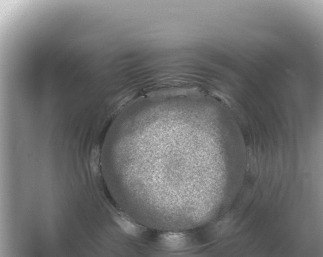 X0000066960189200604072014