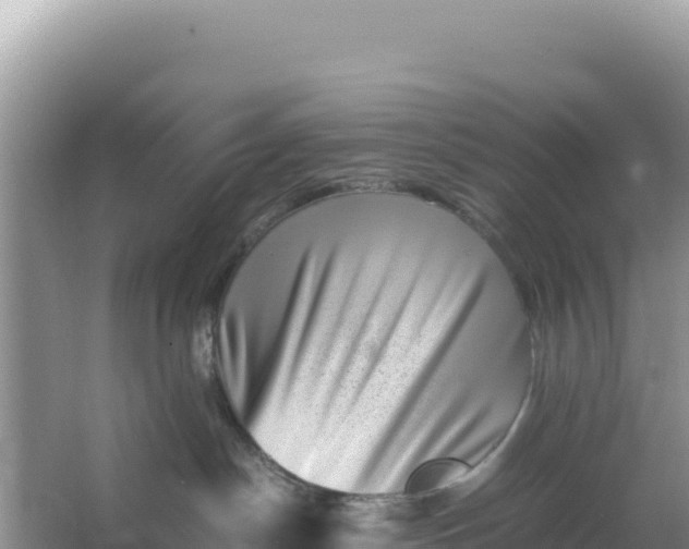 X0000066960190200604072014