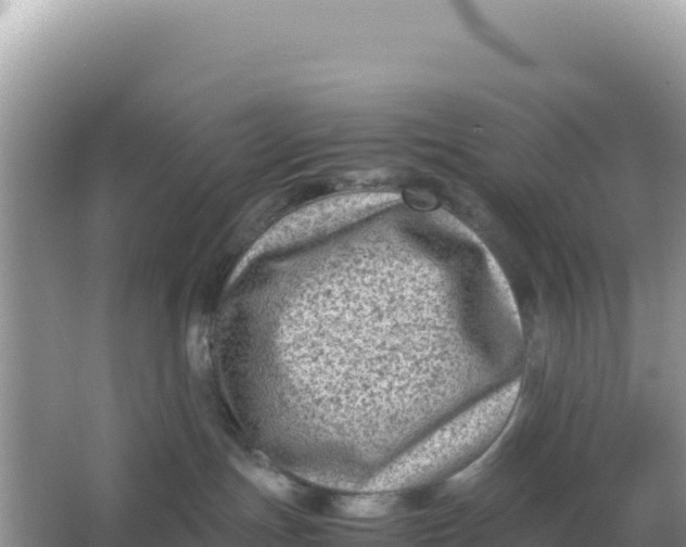 X0000066960191200604072014