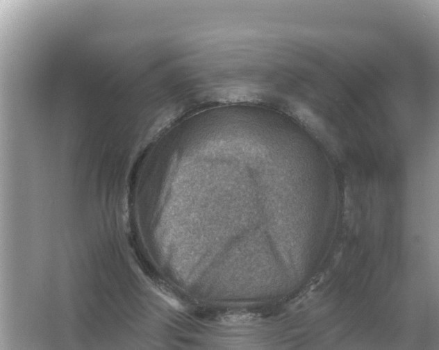 X0000066960202200604072013