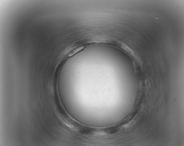 X0000066960203200604072013