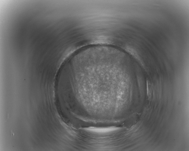 X0000066960204200604072013