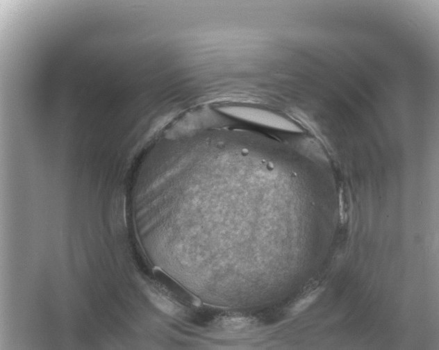 X0000066960205200604072013