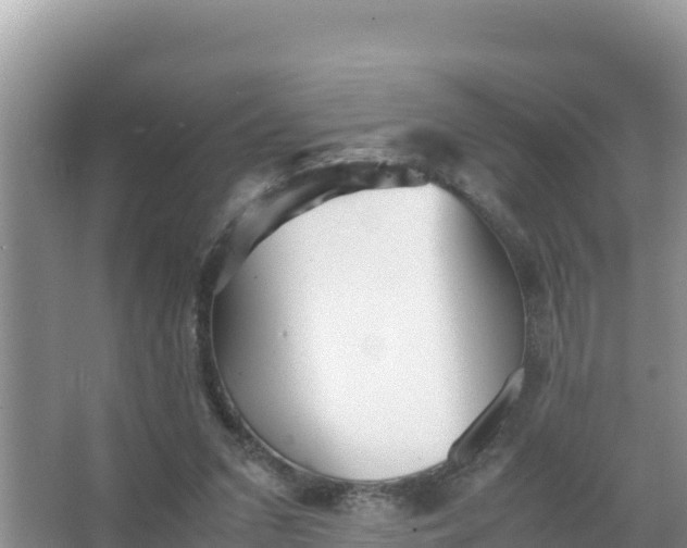 X0000066960207200604072013