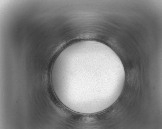 X0000066960208200604072013