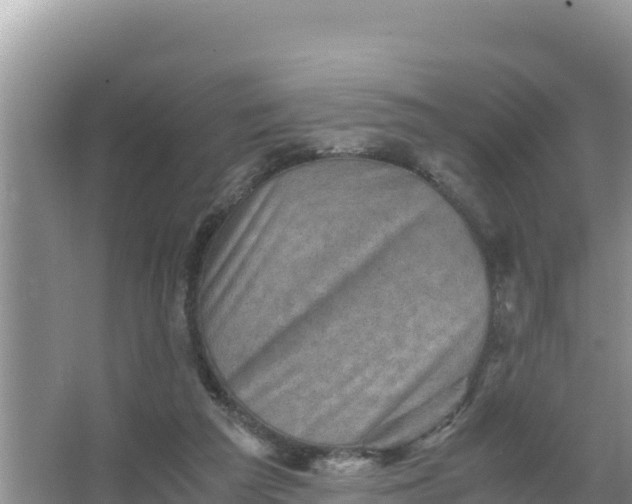 X0000066960209200604072013