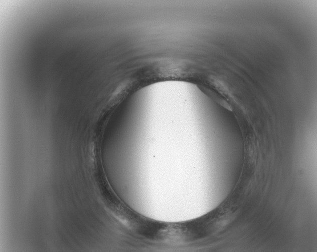 X0000066960211200604072013