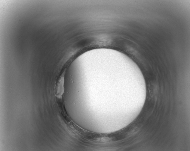 X0000066960212200604072013