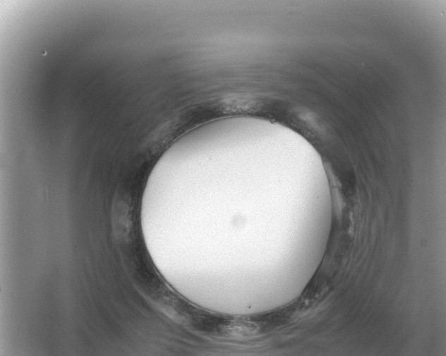 X0000066960215200604072013