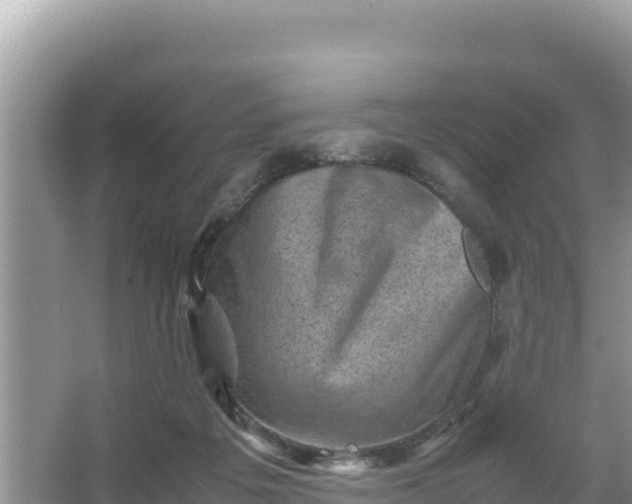 X0000066960217200604072013