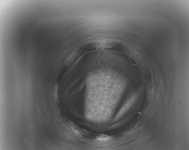 X0000066960219200604072013