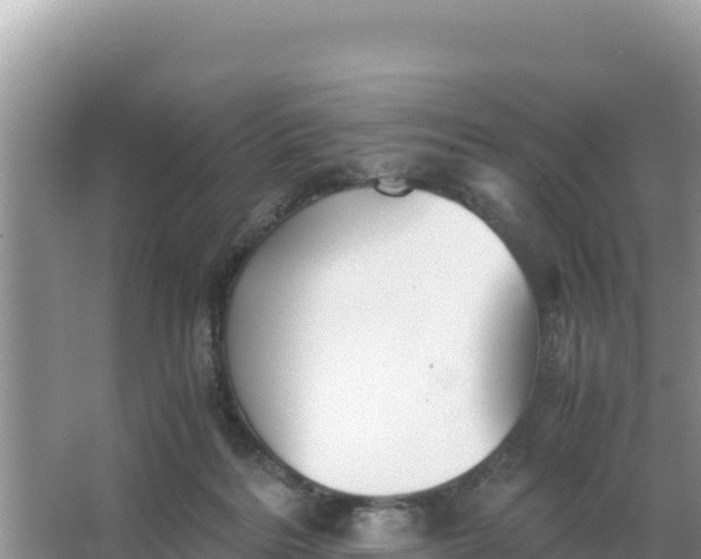 X0000066960220200604072013