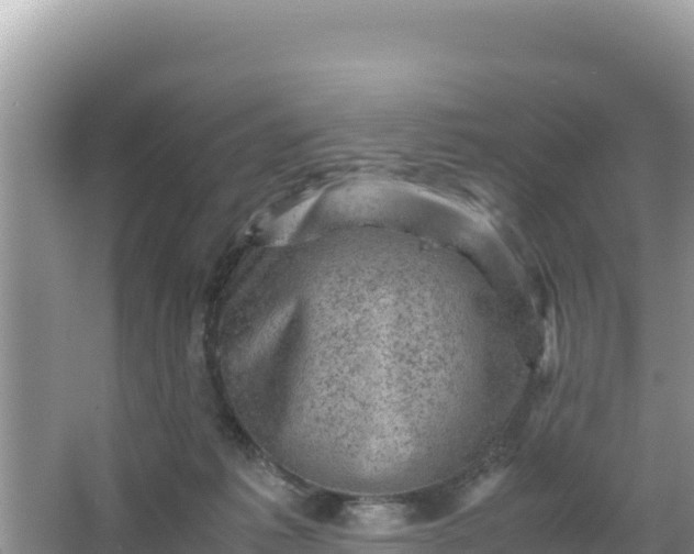 X0000066960221200604072013