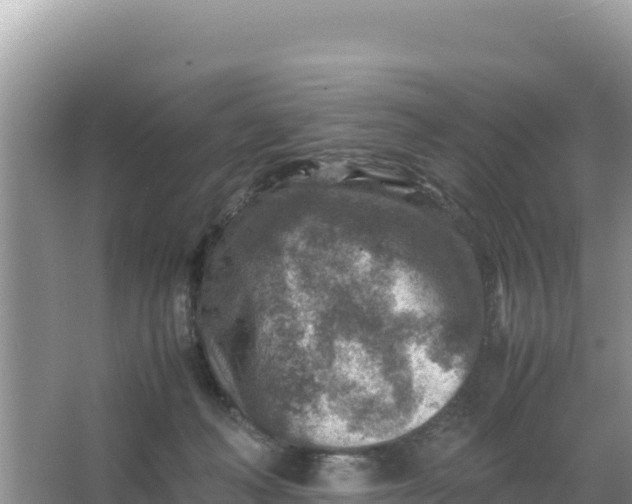 X0000066960222200604072013