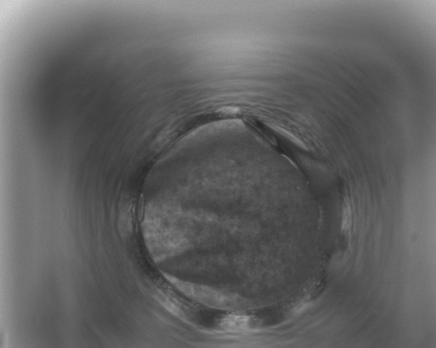 X0000066960227200604072013