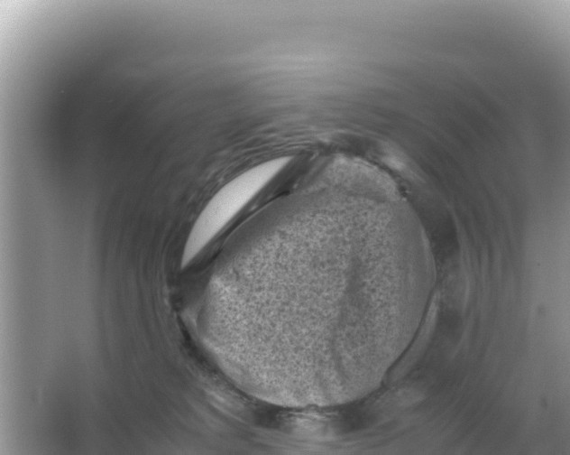 X0000066960229200604072012