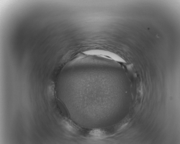 X0000066960231200604072012