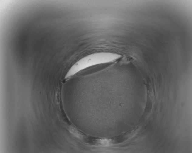 X0000066960233200604072012