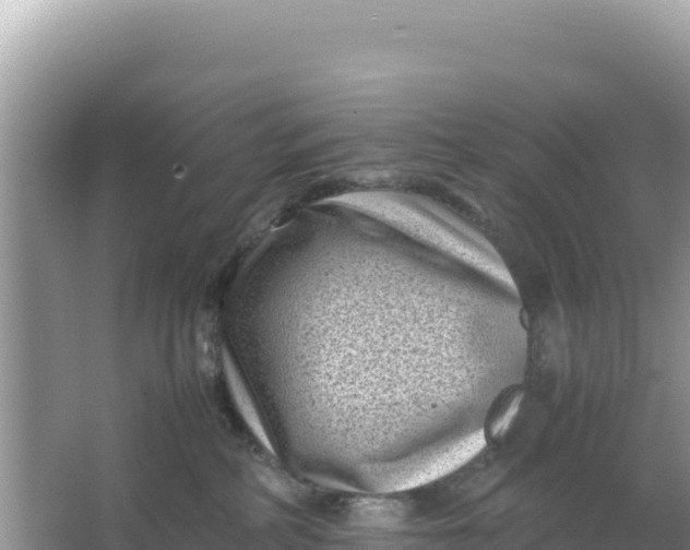 X0000066960234200604072012