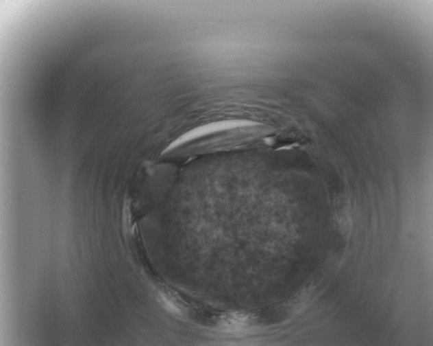 X0000066960235200604072012