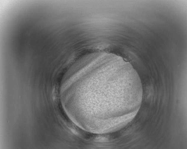 X0000066960236200604072012