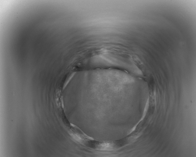 X0000066960237200604072012