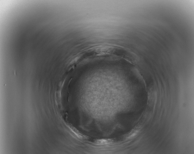 X0000066960239200604072012