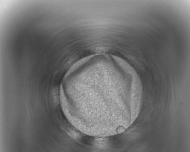 X0000066960240200604072012