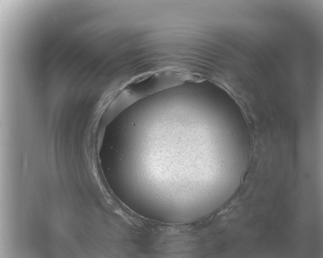 X0000066960241200604072011